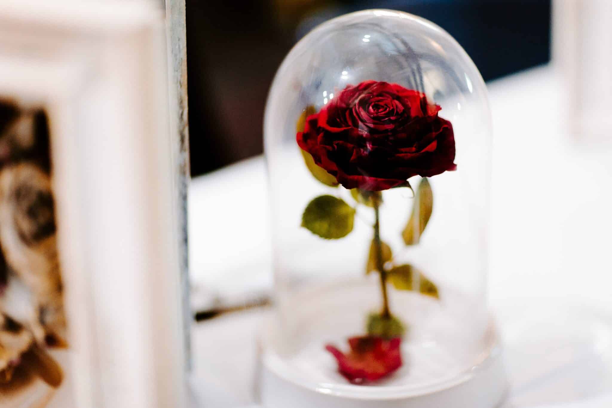 Wedding expo moment 12
